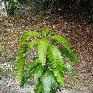 Meet your Posher, Ann